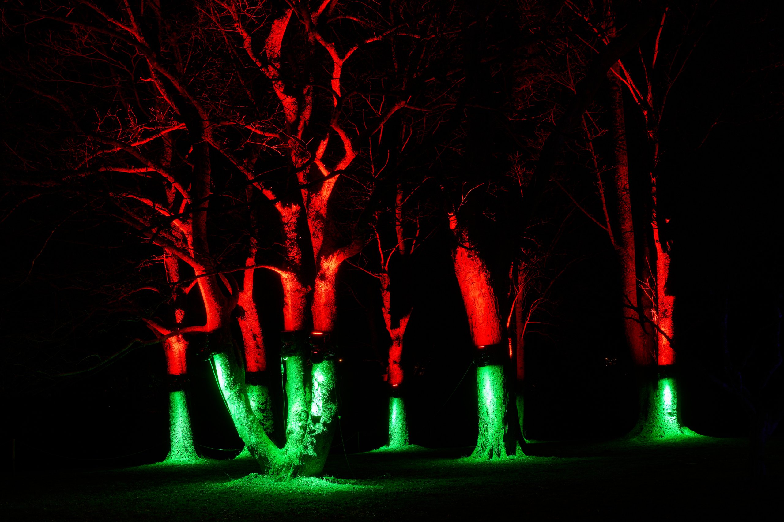 2025 02 04 Parkleuchten 0228